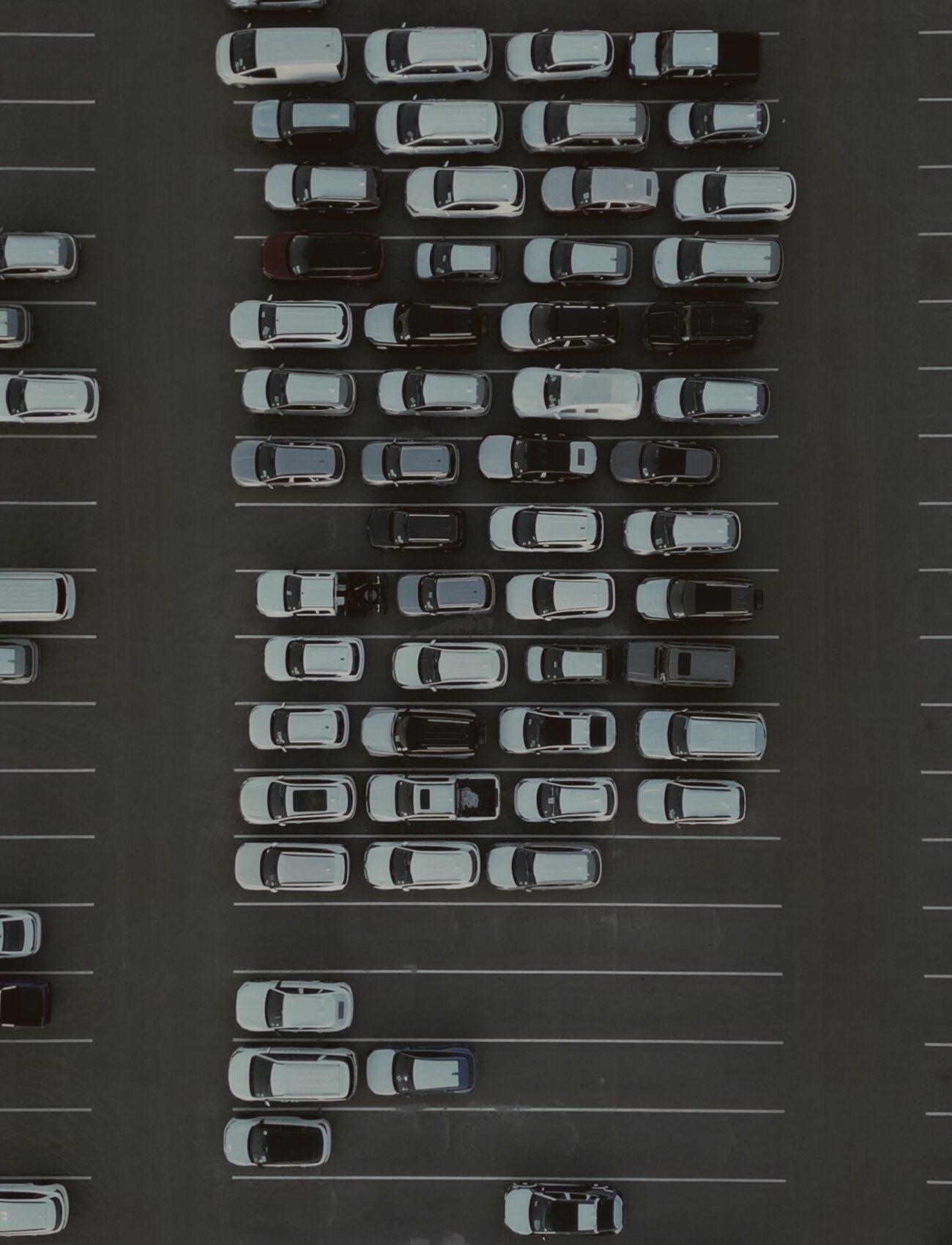 Yard and parking
